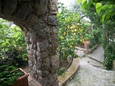 Villa Luxury Paradise *